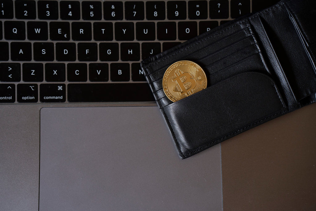 Krypto-Wallet Vergleich: Welche Wallet passt zu dir?